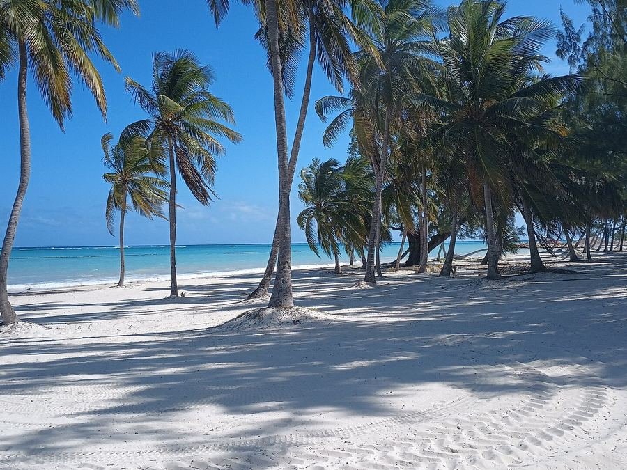 Playa con palmeras y arena blanca en Cap Cana, Punta Cana