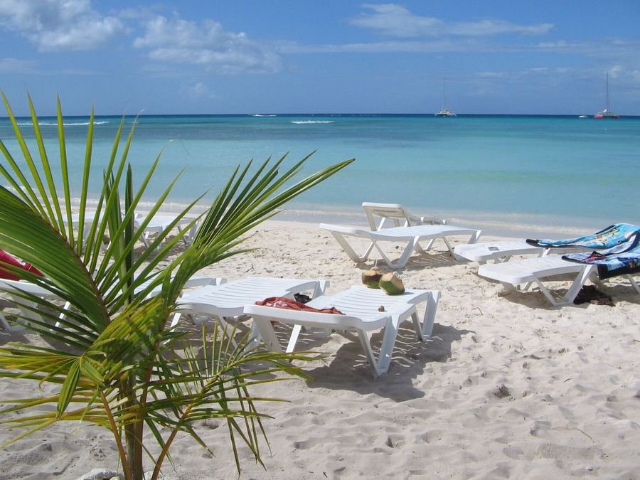 Playa de arena blanca con palmera y camastros en la costa de Punta Cana
