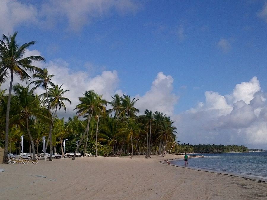 Playa de Punta Cana con palmeras y arena blanca