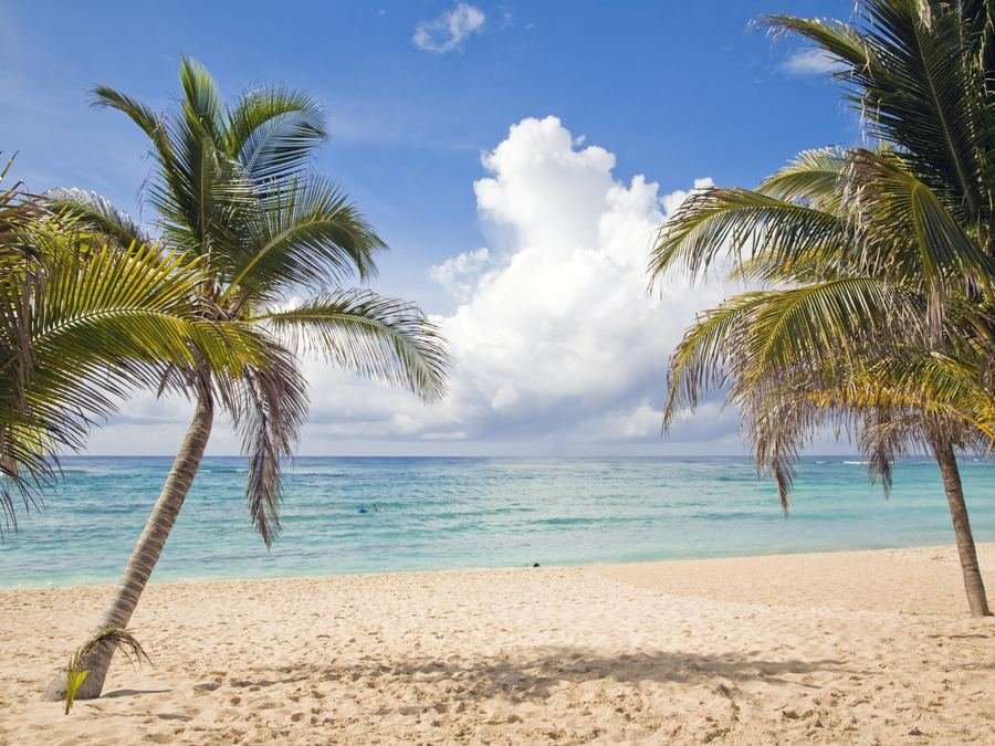 Playa de la Riviera Maya con palmeras y aguas turquesa