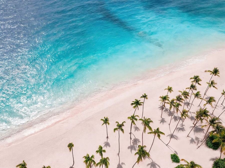 Resort en Punta Cana